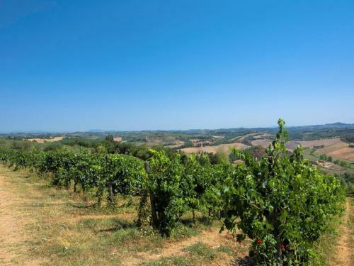 Rural Apartment In Castelfiorentino With Private Terrace