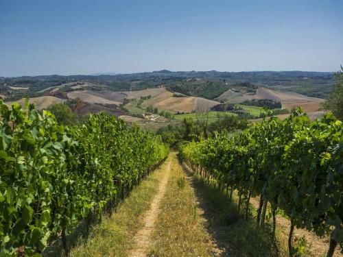 Rustic Apartment In Castelfiorentino With Swimming Pool