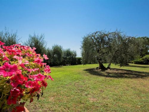 Rustic Apartment In Castelfiorentino With Swimming Pool
