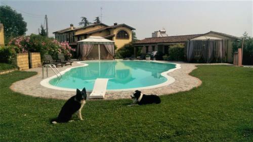 B&B Il Martin Pescatore