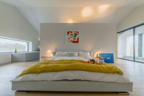 Superbe Villa D'architecte Avec Piscine � Arbonne
