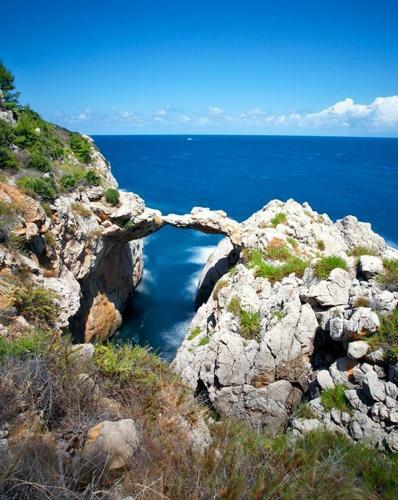Bed & Breakfast Antico Palazzo Baar�a