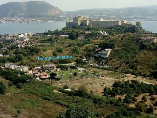Agroturismo Tenuta Calidarius