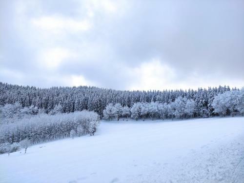 Apartamento Boho-style In Winterberg - Zentral & Natur