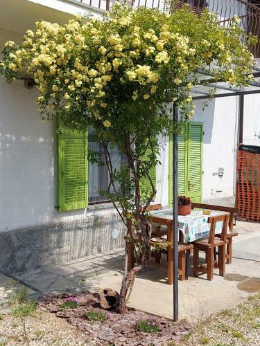 Apartamento Pelagallo