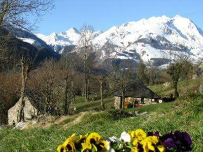 G�te Des Moulins - Val D'azun Pyr�n�es