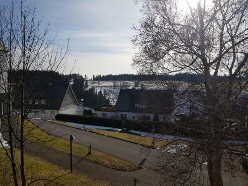 Apartamento Altastenberger Lodge
