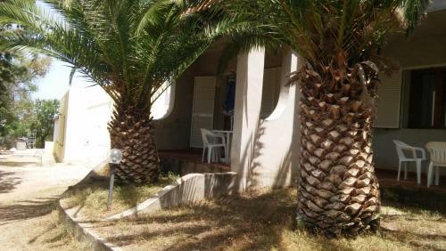 Villa Del Palmeto