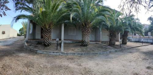 Villa Del Palmeto