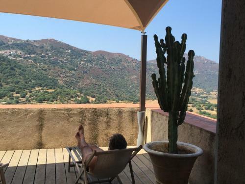 Bed & Breakfast Maison D'hotes Aregno