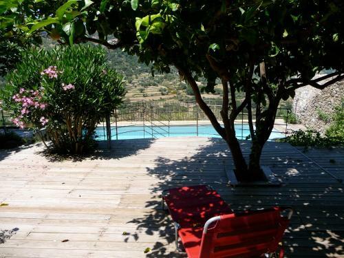 Bed & Breakfast Maison D'hotes Aregno