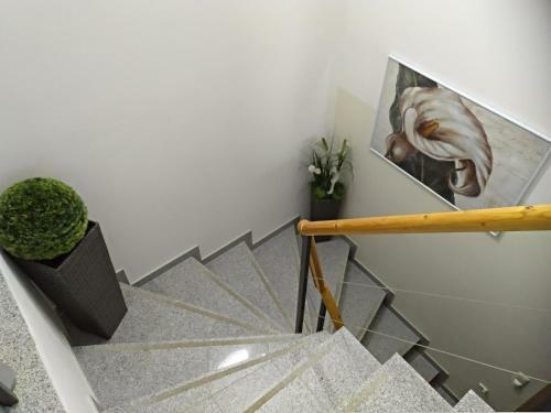 Ferienhaus Ringelwiese