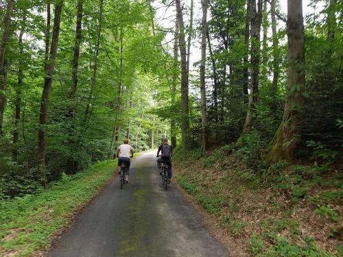 Bed & Breakfast Le Bois Du Four