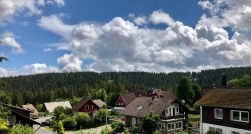 Apartamento Fewo Waldblick Schulenberg Im Oberharz