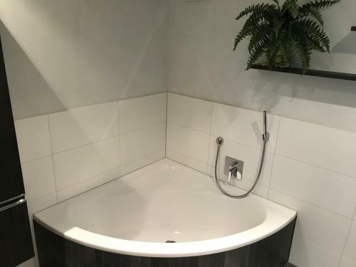 Apartamento Ferienwohnung Mainausicht