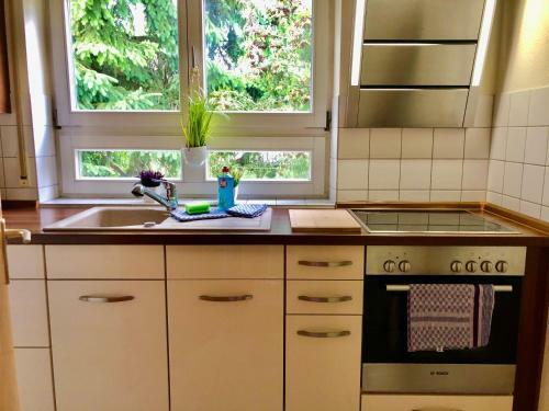 Apartamento Ferienwohnung Lichtblick