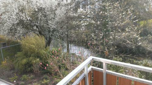 Hostal G�stehaus Aachblick In Uhldingen Am Bodensee