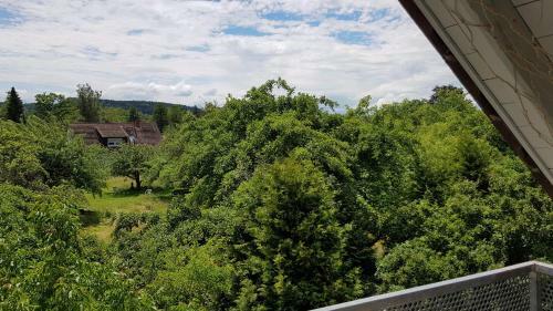 Sonnenschein Apartment Bodensee