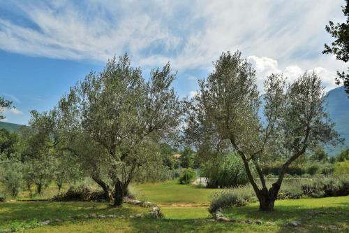 Agroturismo Antica Tenuta