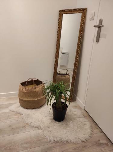 Logement Entier, Netflix Jacuzzi En Option