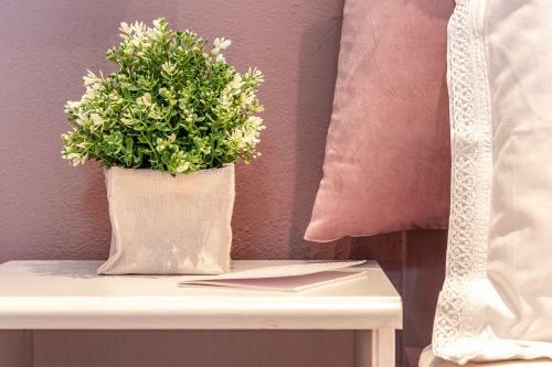 Bed & Breakfast Garden Loft
