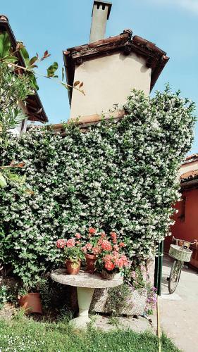Bed & Breakfast Garden Loft