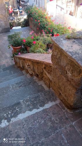 Apartamento La Sorpresa Di Civita