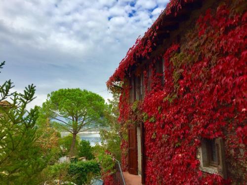 Bed & Breakfast Villa Del Lago