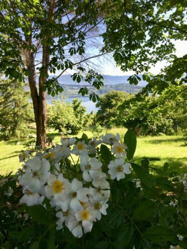 Bed & Breakfast Villa Del Lago