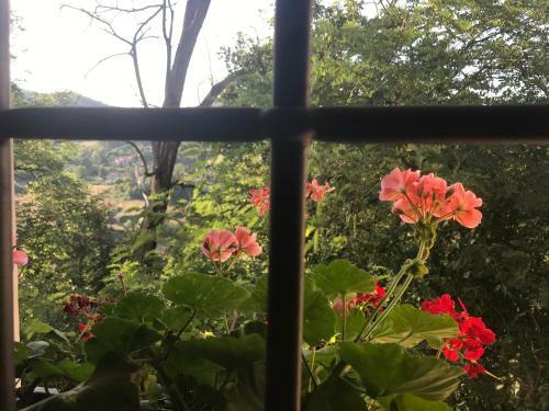 Apartamento Antica Dimora Di Laura
