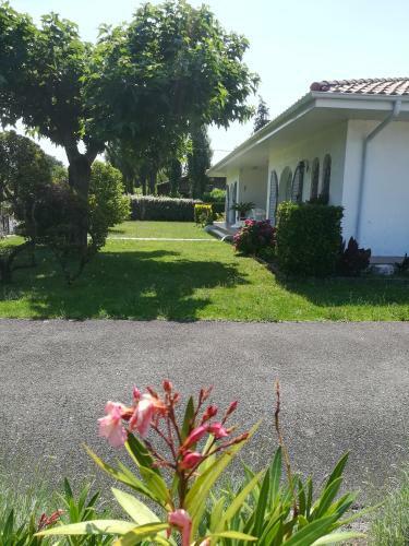 Villa Piscine - Spa