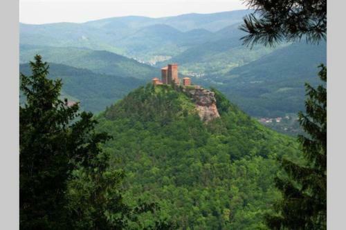 Apartamento Fewo Im Herzen Der Pfalz Mit Sonnenterrasse