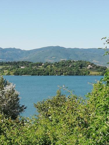 Il Lago Del Mugello B&B