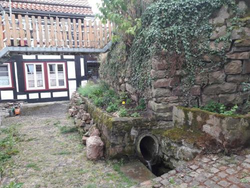 Apartamento Fewo Froschk�nig