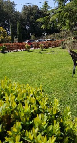 Bed & Breakfast Fili D'erba