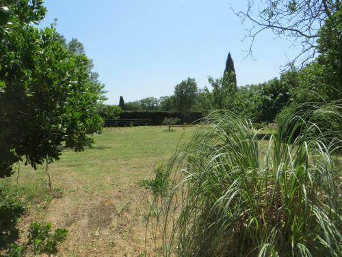 Le Gr�s 313