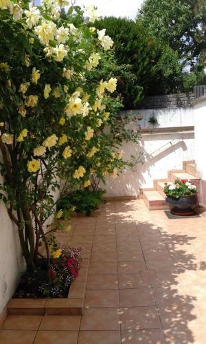 Apartamento Ferienwohnung Jette