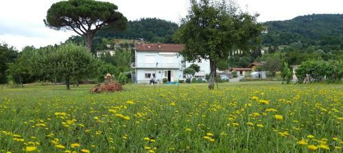 Hostal Affittacamere La Foresta Di Sopra