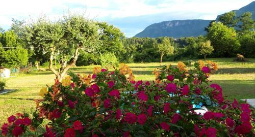 Hostal Affittacamere La Foresta Di Sopra