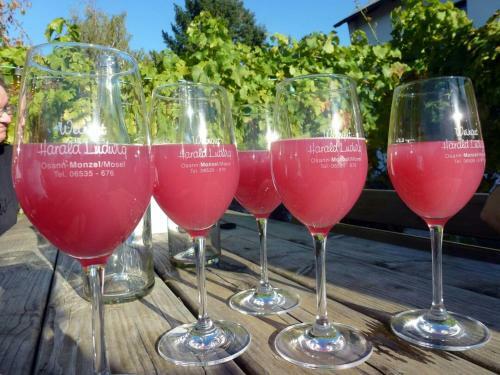 Apartamento Weingut Harald Ludwig