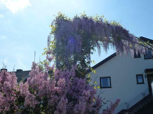 Apartamento Weingut Harald Ludwig