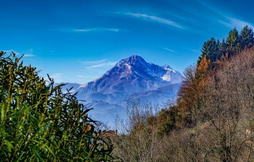 La Limonaia Di Casagrande