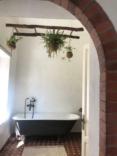 La Limonaia Di Casagrande
