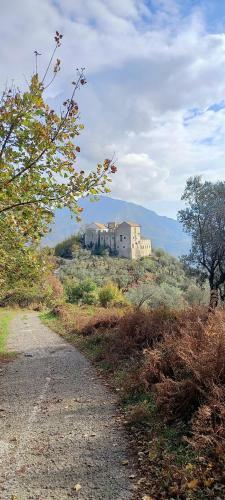 Bed & Breakfast Takeamalficoast City Loft