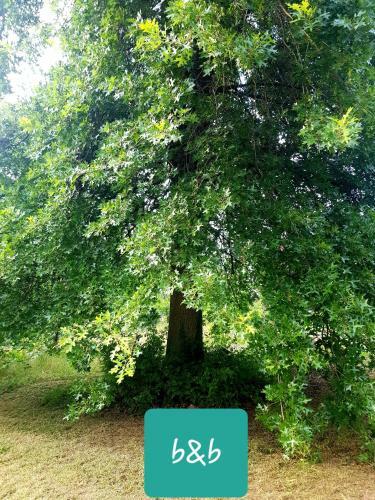 Hostal Da Marianna