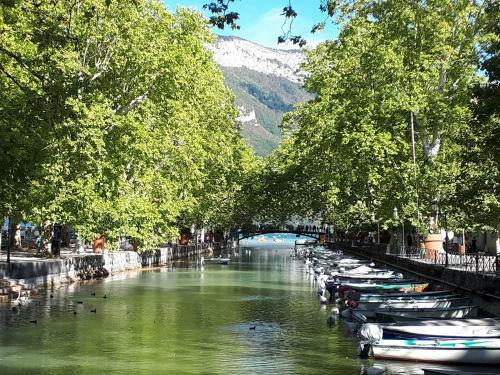 Apartamento Studio Le Virgile - Annecy