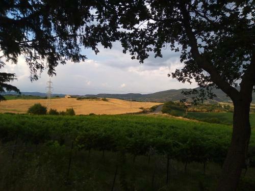 B&B La Gallinella Rossa