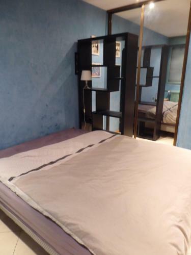 Chambre Dans Un Appartement Annecy Gare-centre