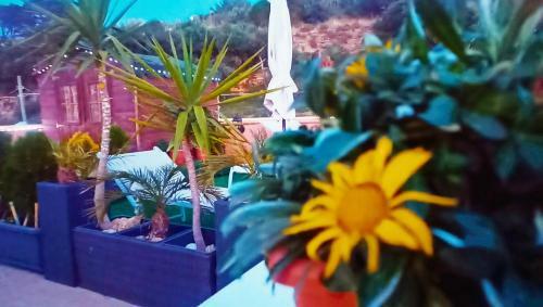 Apartamento Orangebalestrate