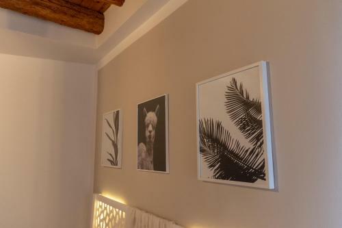 Apartamento La Casa Di Bassano